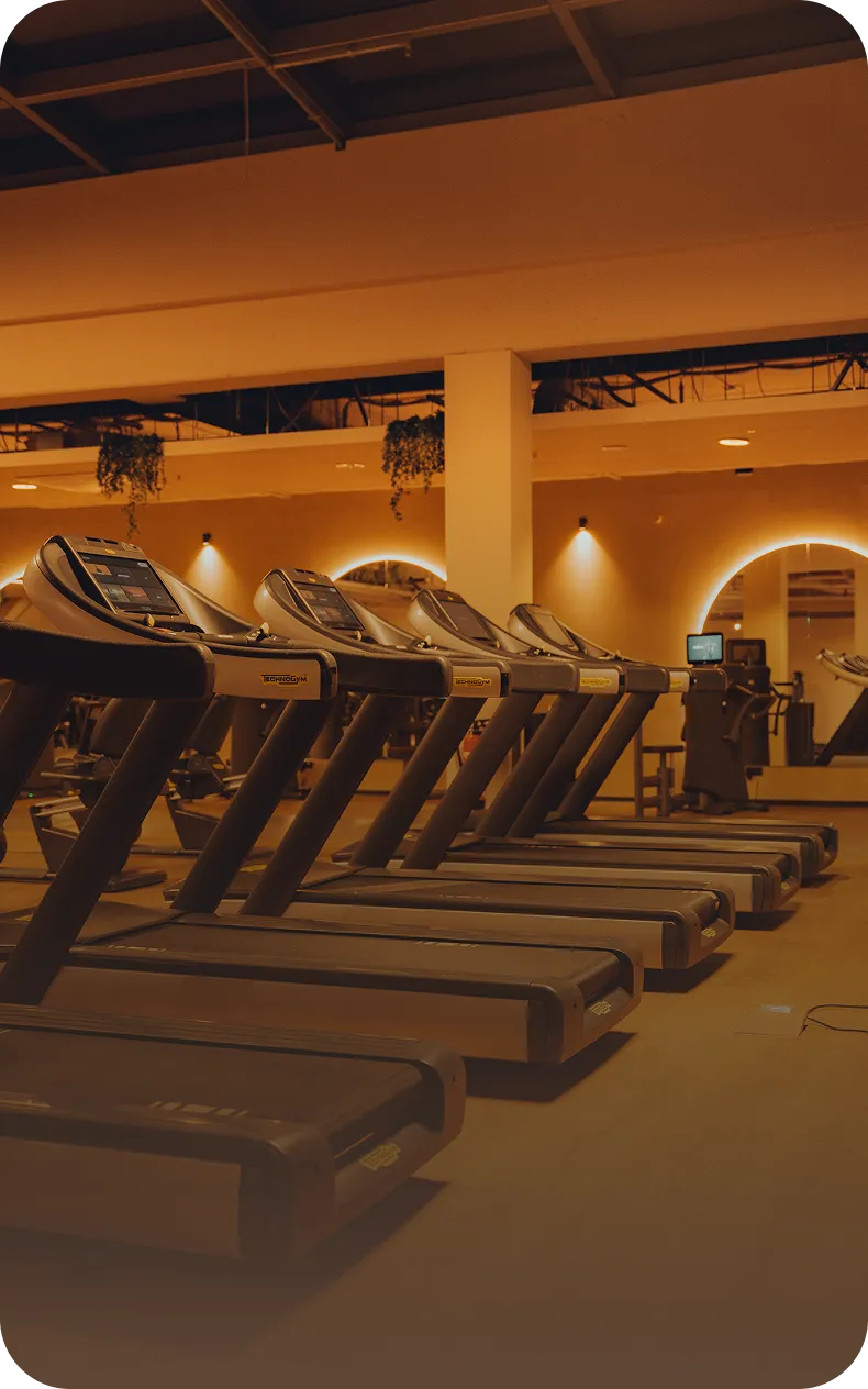 Laufbänder im Peoples Fitness Studio – Cardio-Training für Ausdauer und Herz-Kreislauf