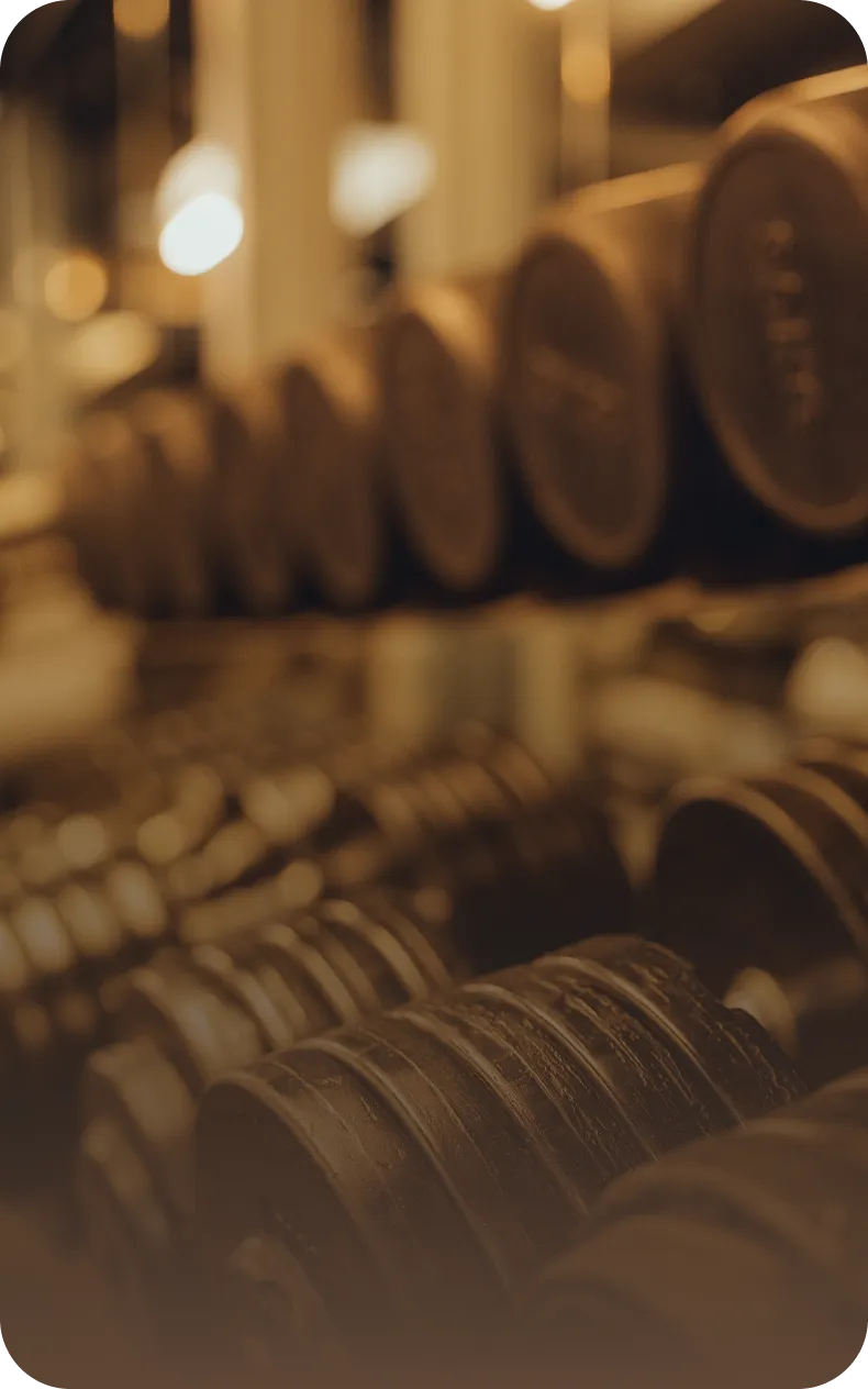 Freihantelbereich mit Racks und Hanteln im peoples Fitness Club Karben