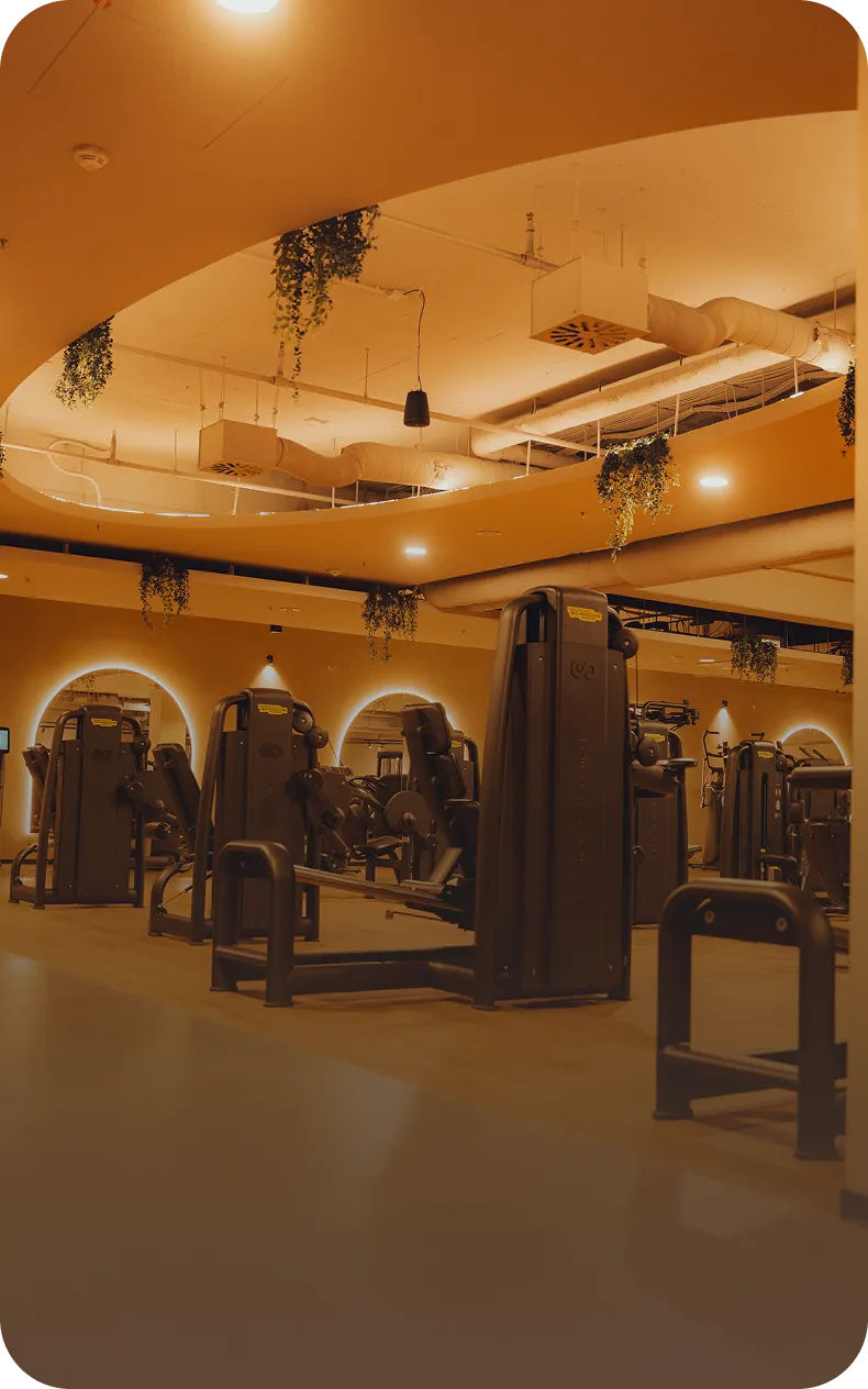 Kraftgeräte im peoples Fitness Signature Club Bad Homburg